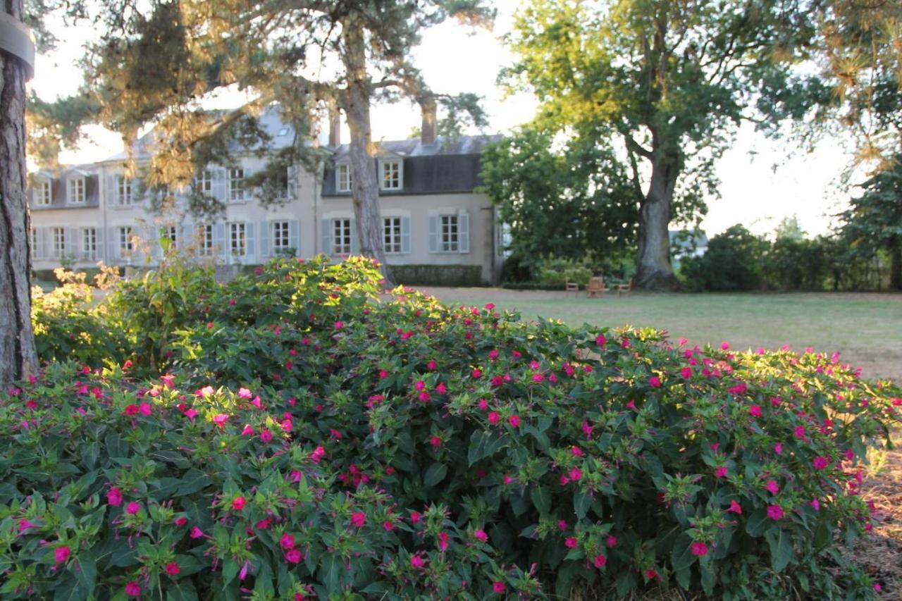 Colivault Bed & Breakfast Candé-sur-Beuvron Eksteriør bilde