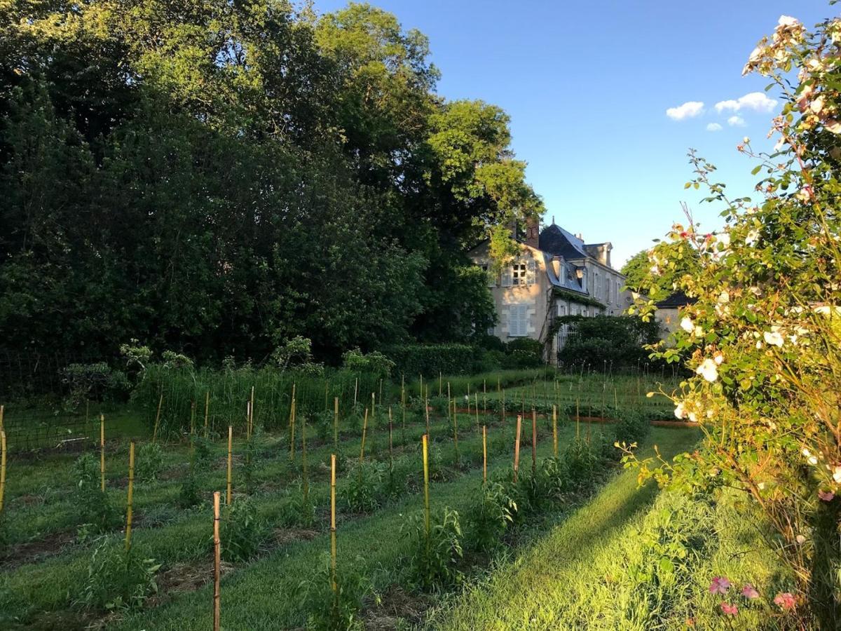 Colivault Bed & Breakfast Candé-sur-Beuvron Eksteriør bilde